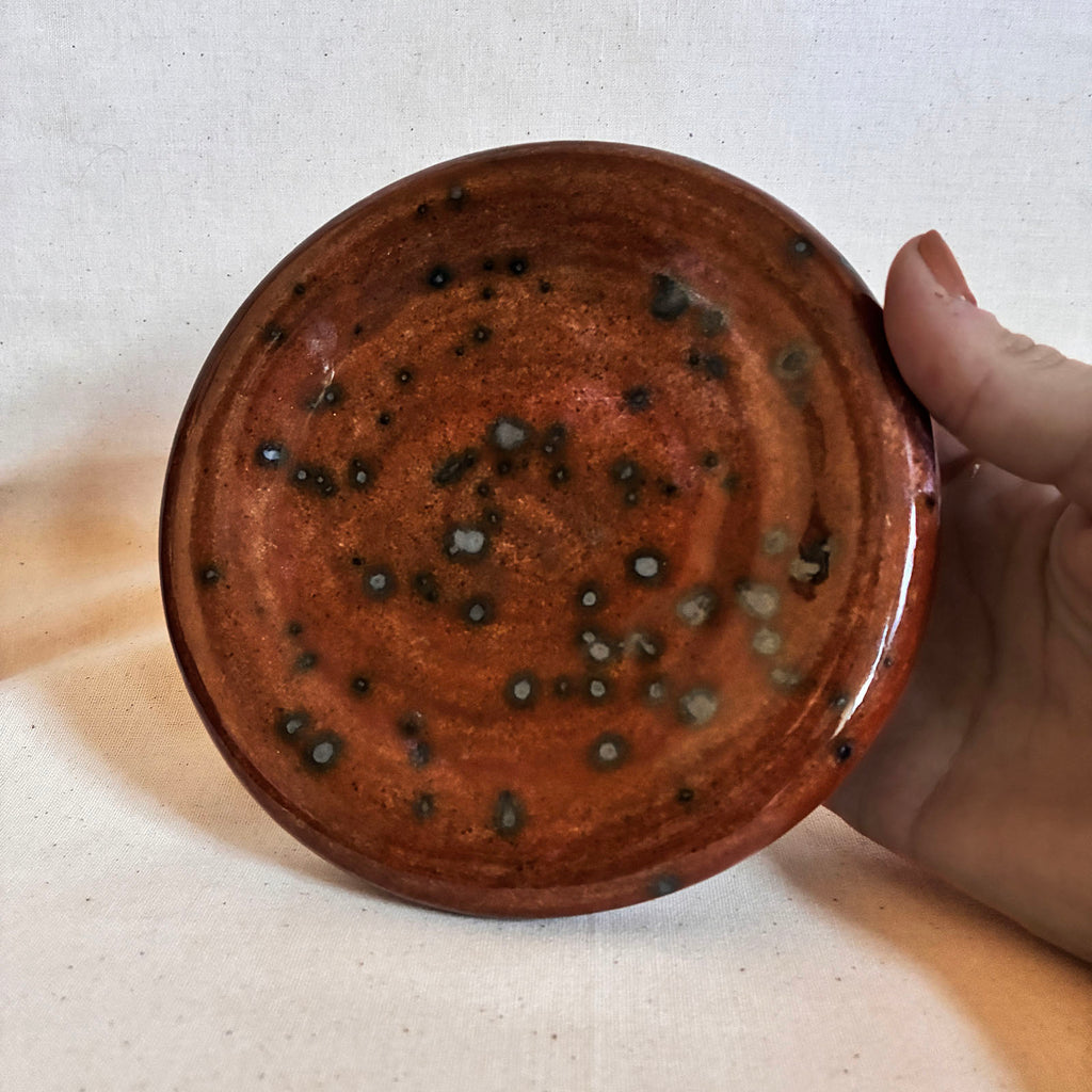 Bubble Plate: Petrified Wood