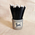 Sage Match Pot with a cat decal and striker panel